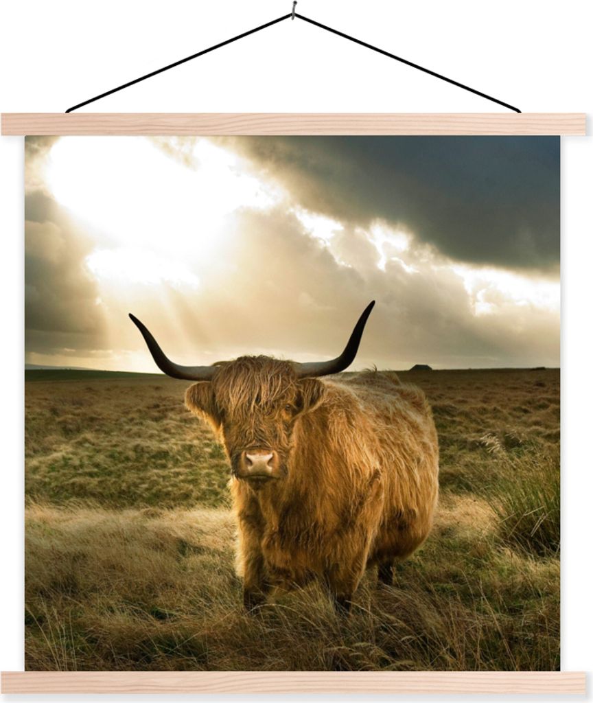MuchoWow Textilposter Schottisches Hochlandrind - Sonne - Gras 120x120 cm mit holzfarbenen Rahmen - Textil-Poster
