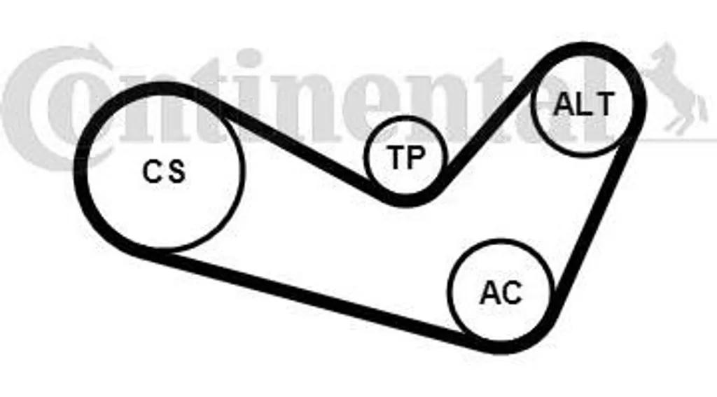 Set Cinghie Continental 6PK1080K1 | Qualità OE per VW, Seat, Skoda
