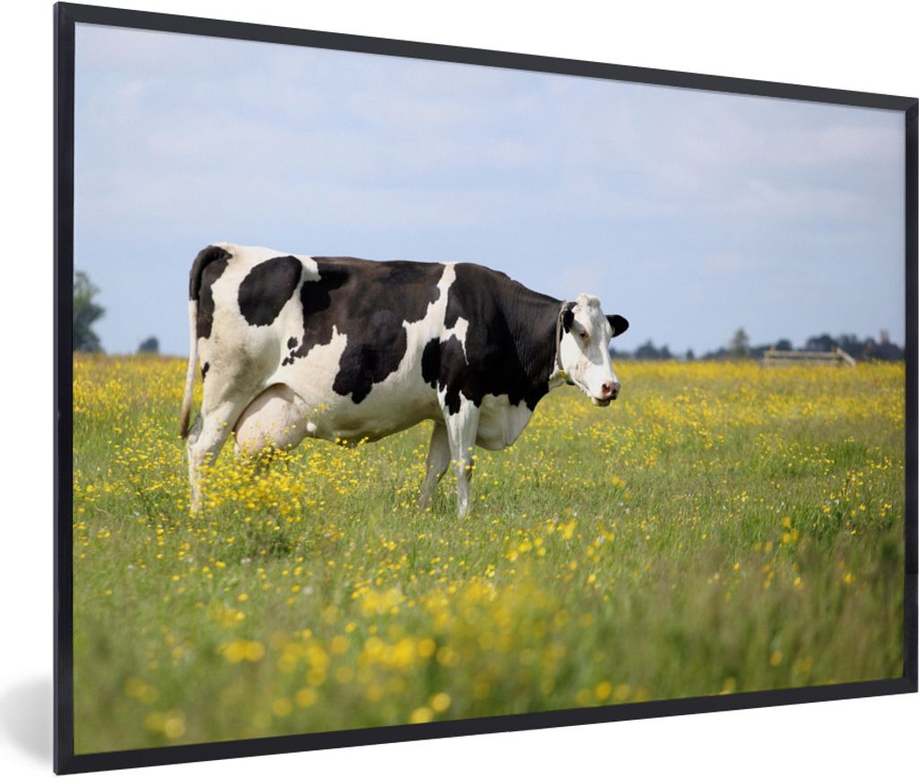 MuchoWow Gerahmtes Poster Kuh - Gras - Blumen 30x20 cm - Poster mit Schwarzem Bilderrahmen Wandposter Rahmen Foto Bilder - Kunstdruck - Bild-Poster