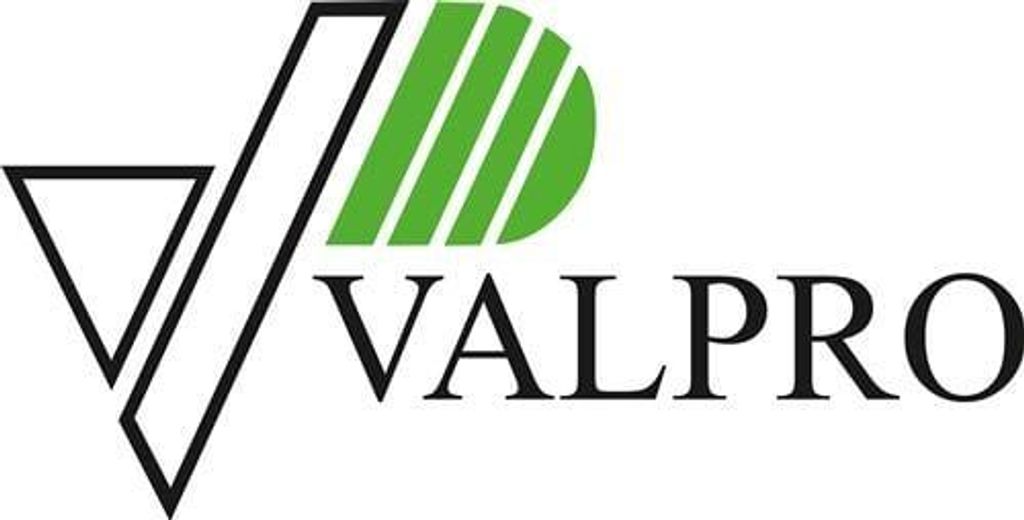 Valpro bec verseur automatique pour bidons à carburant Image du produit 