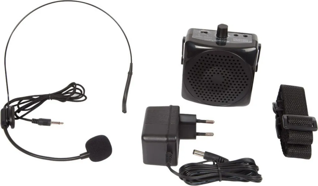 Système de sonorisation portable Bluetooth 500W avec micros sans fil