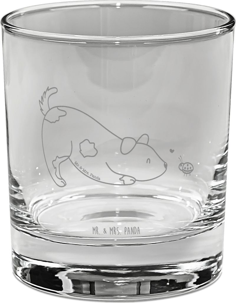 Mr. & Mrs. Panda Glas Hund Marienkäfer - Transparent - Geschenk, Neugierig, Mischlingshund, Longdrinkglas, Cocktailglas, Ginglas, Hunde, Mischling...