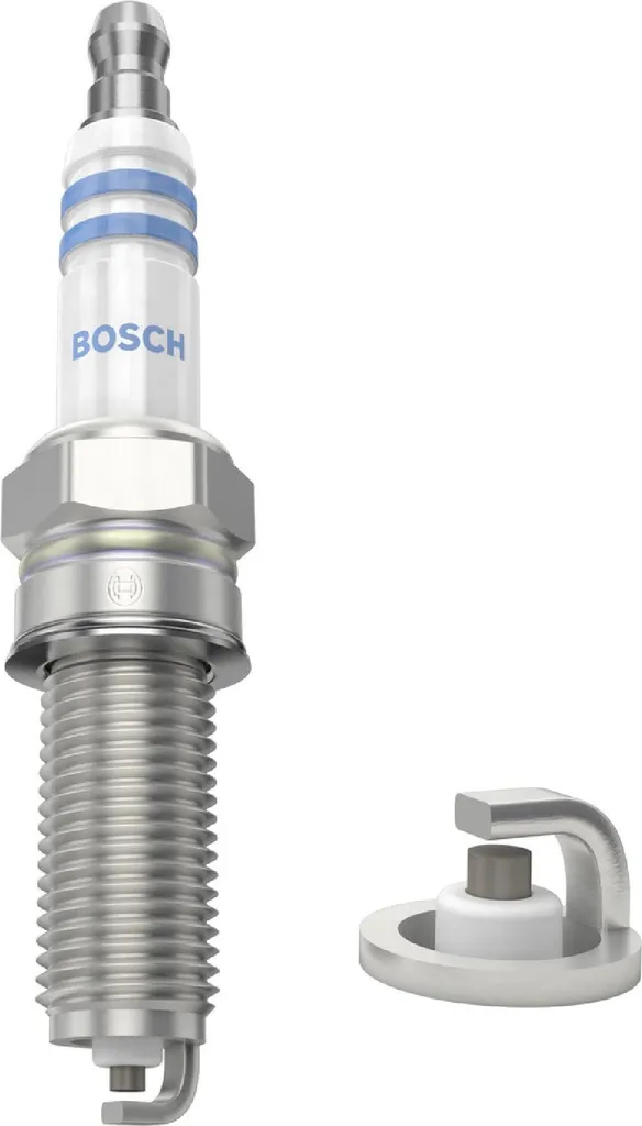 Candela Bosch per - 3