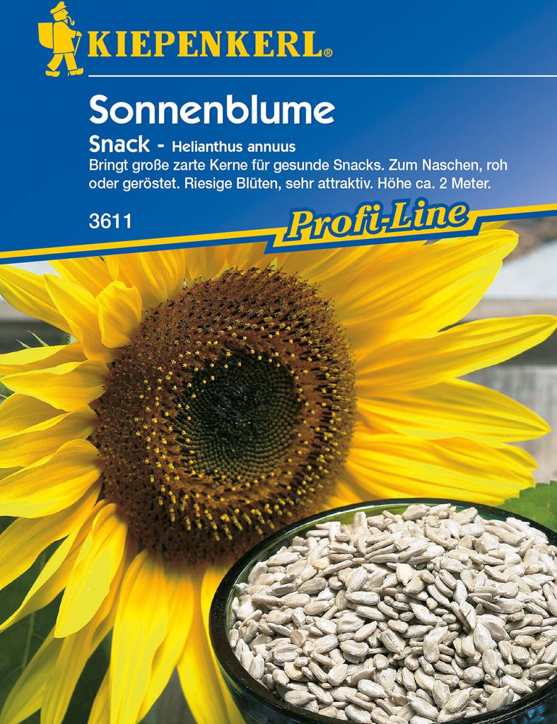 Sonnenblume Snack | Sonnenblumensamen von Kiepenkerl