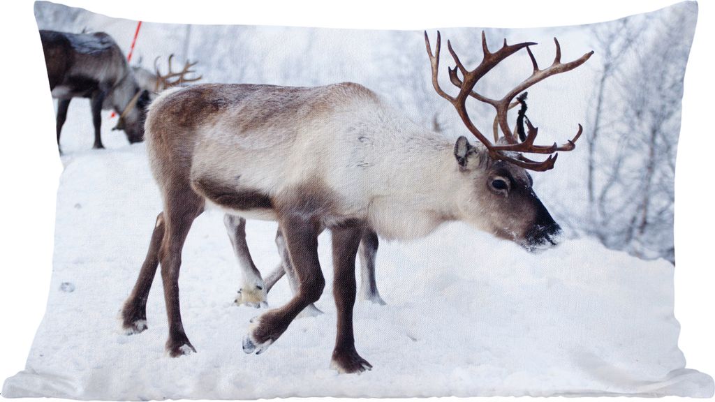 MuchoWow Zierkissen Sofakissen Wohnzimmer Dekokissen 50x30 cm Ein Weihnachtsfoto von Rentieren entlang der Straßen von Kilpisjarvi, Finnland - W...