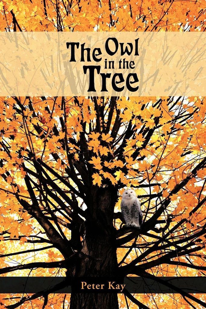The Owl in the Tree.by Kay, Peter New .