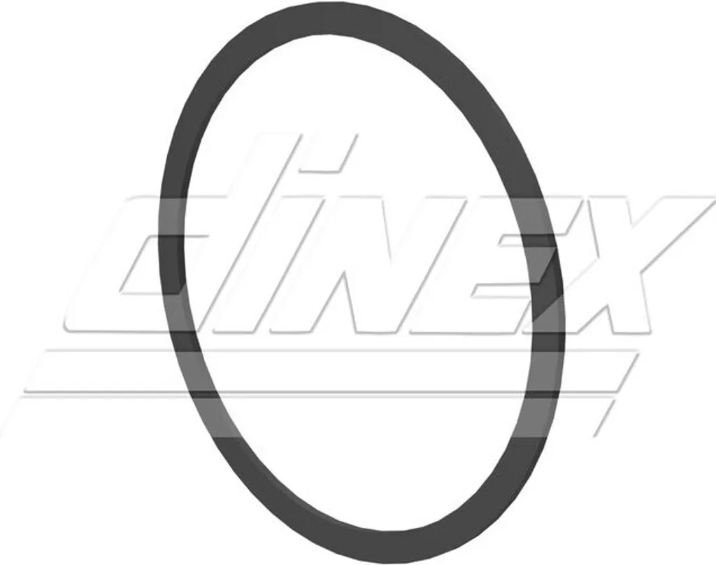 Bague d'étanchéité DINEX 6LL006 pour réparation échappement camion