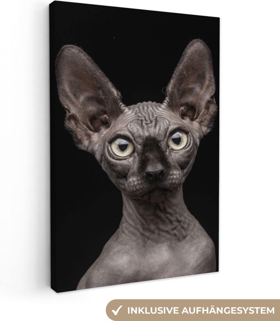 OneMillionCanvasses - Leinwandbilder - 90x140 cm, Katze - Sphynx - Schwarz, Wandbilder Kunstdruck Wanddekoration - Wandschmucke - Schlafzimmer
