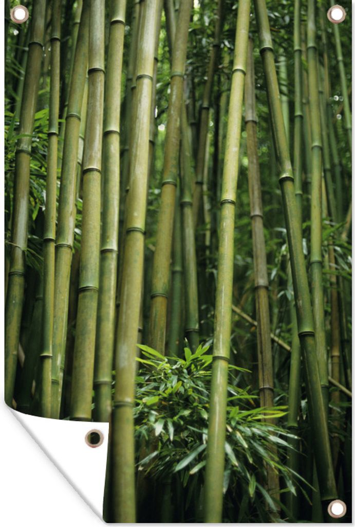 MuchoWow 40x60 cm Outdoor-Poster Gartendeko Sichtschutz Garten Poster für den Garten Bambusstämme