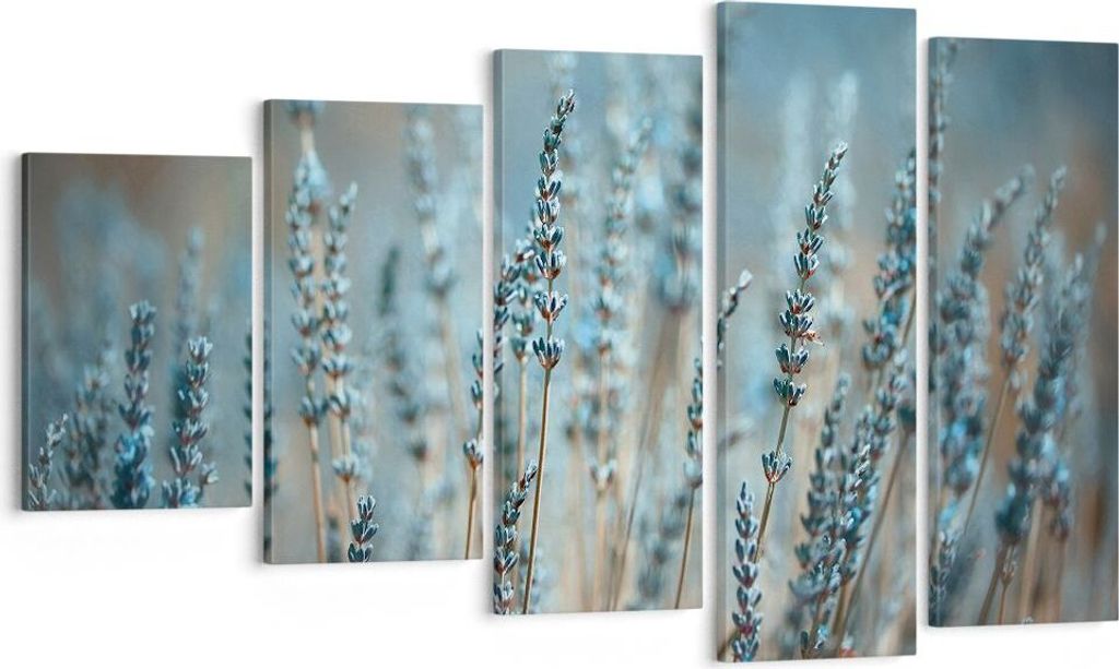 Bild auf Leinwand - Leinwandbild - 5 Teile - Lavendel Klinge Blume - 100x60cm - Wand Bild - Wanddeko - Wandbilder - Leinwanddruck - Bilder - Wandde...