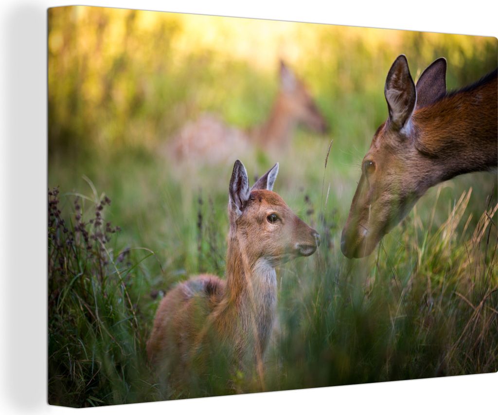 OneMillionCanvasses - Leinwandbilder - 140x90 cm, Hirsche - Gras - Wald, Wandbilder Kunstdruck Wanddekoration