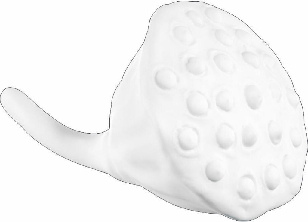 ASA Selection Deco Lotusfrucht, Dekorations Frucht, Feinsteinzeug, Weiß, Ø 8 cm, 66763091