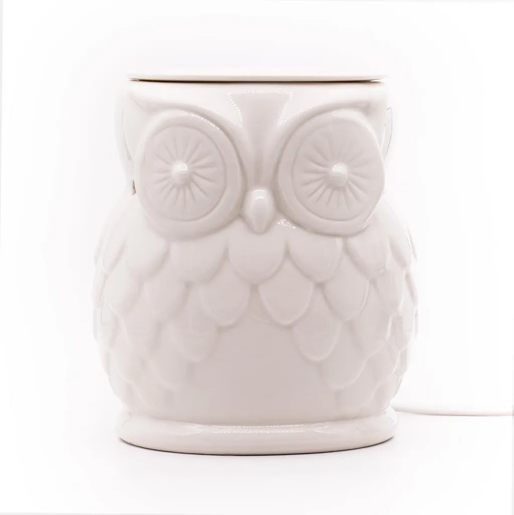 Diffuseur de Parfum Intérieur Hibou Eule pour Ambiance Zen et Cocooning