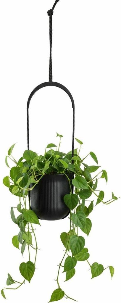 HowHomely | Blumentopf - Hängeblumentopf - schwarz - B18xH17 cm - aus Recyclingmaterial - Pflanzentopf - Pflegeleicht