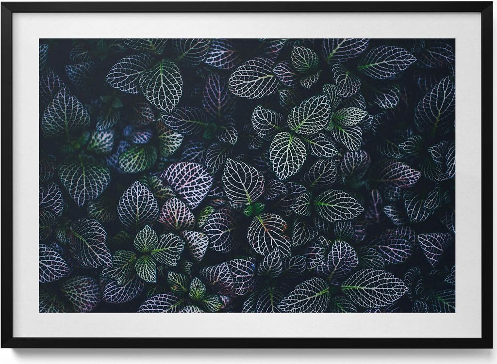 Dunkle wilde Blätter– Wandbild mit Rahmen – Gerahmtes Bild – Wanddekoration – 100x70 cm – Schwarz Rahmen