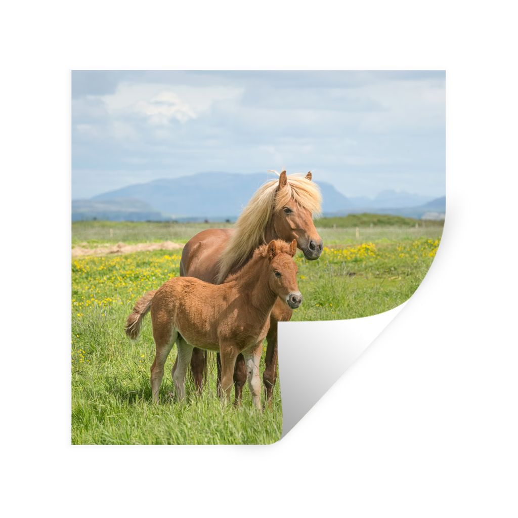 MuchoWow Wandtattoo Wandsticker Wandaufkleber Pferde - Fohlen - Gebirge 100x100 cm Selbstklebend und Repositionierbar - Wierderverwendbar - Selbs...
