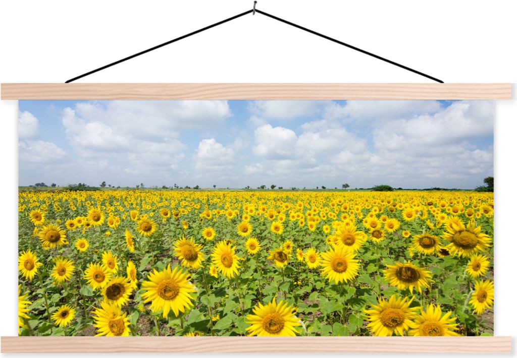 MuchoWow® Textilposter Sonnenblumen - Blumen - Wolken - Produktbild 