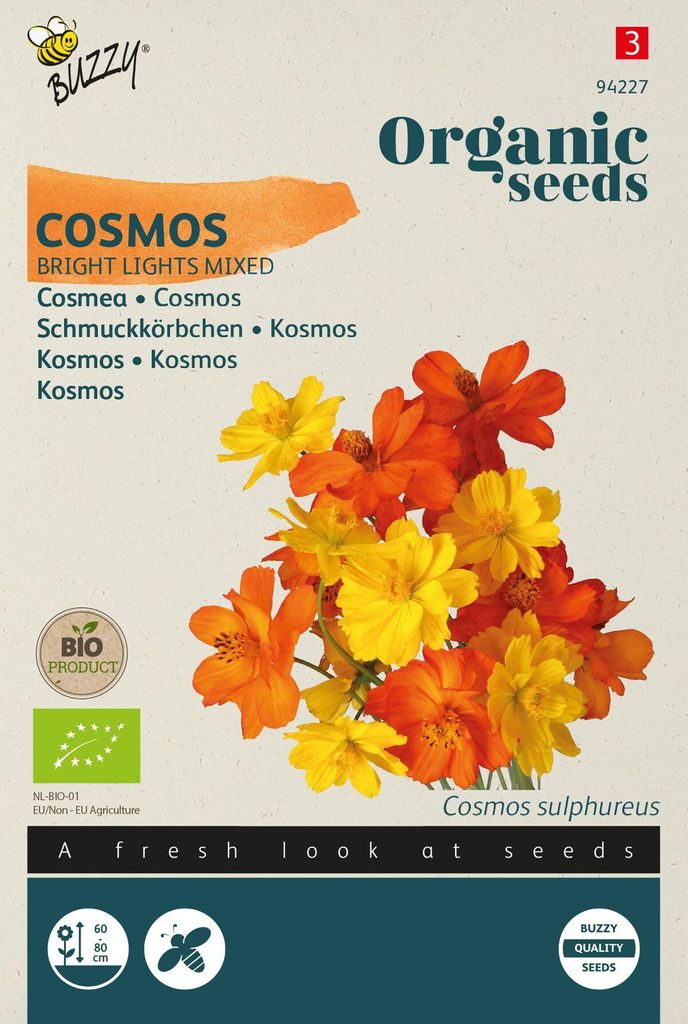 Schmuckkörbchen Bright Lights Mixed | Cosmeasamen von Buzzy Seeds