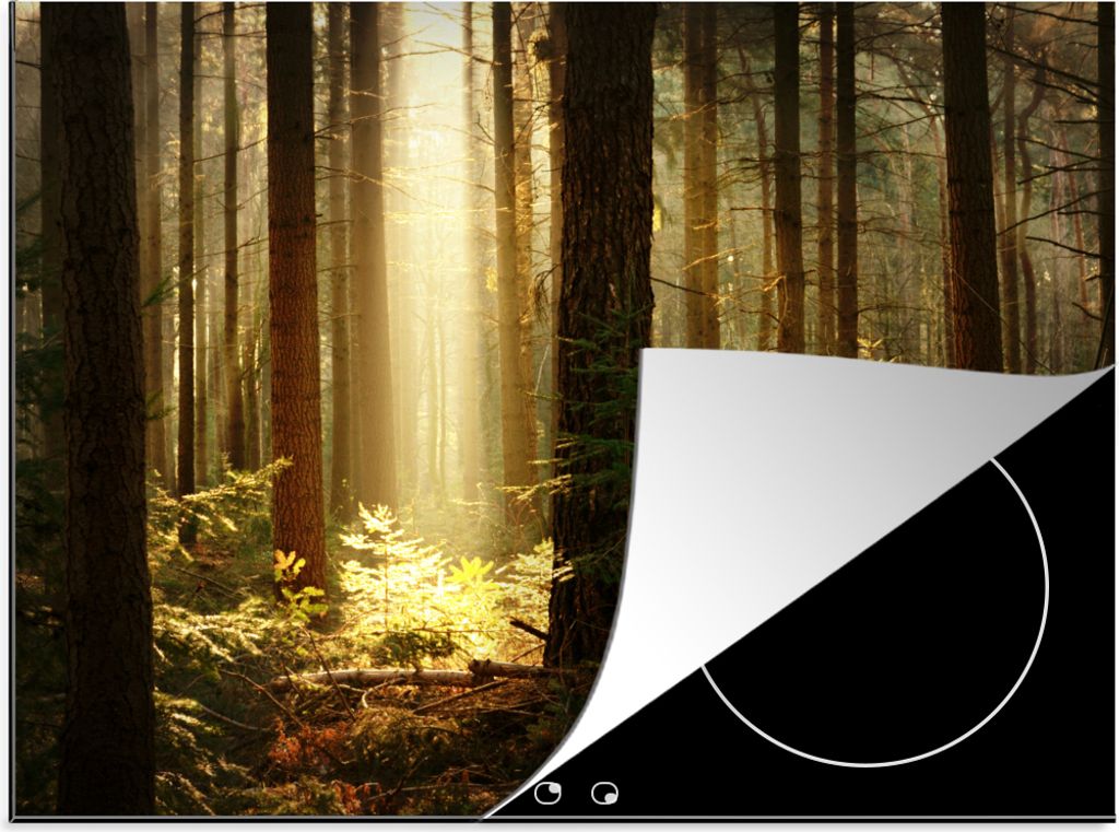 KitchenYeah Herdabdeckplatte Wald - Bäume - Sonne , 71x52cm, Küche Deko, Glaskeramikkochfeld Herdabdeckung, Abdeckplatte fùr Kochfeld