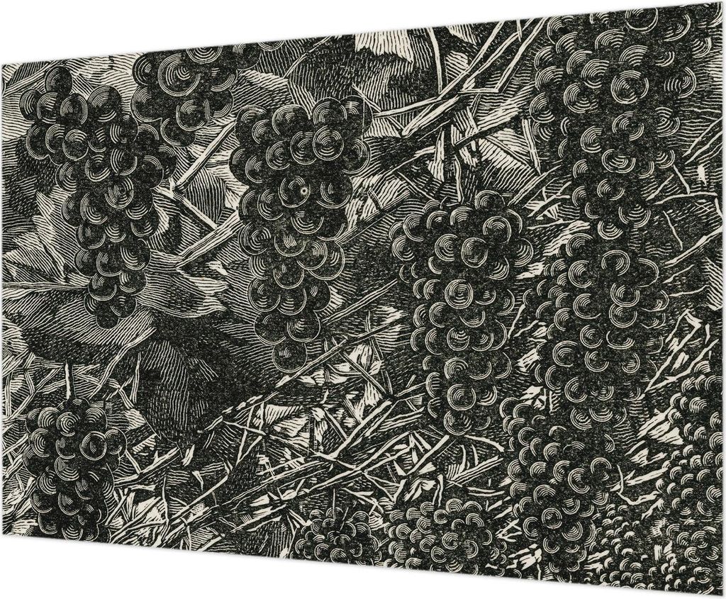 Wandtapete - Dekorative Tapete für Wohnzimmer - Tapetenfolie für Wanddekoration - 312x219 cm - Traubenabdruck