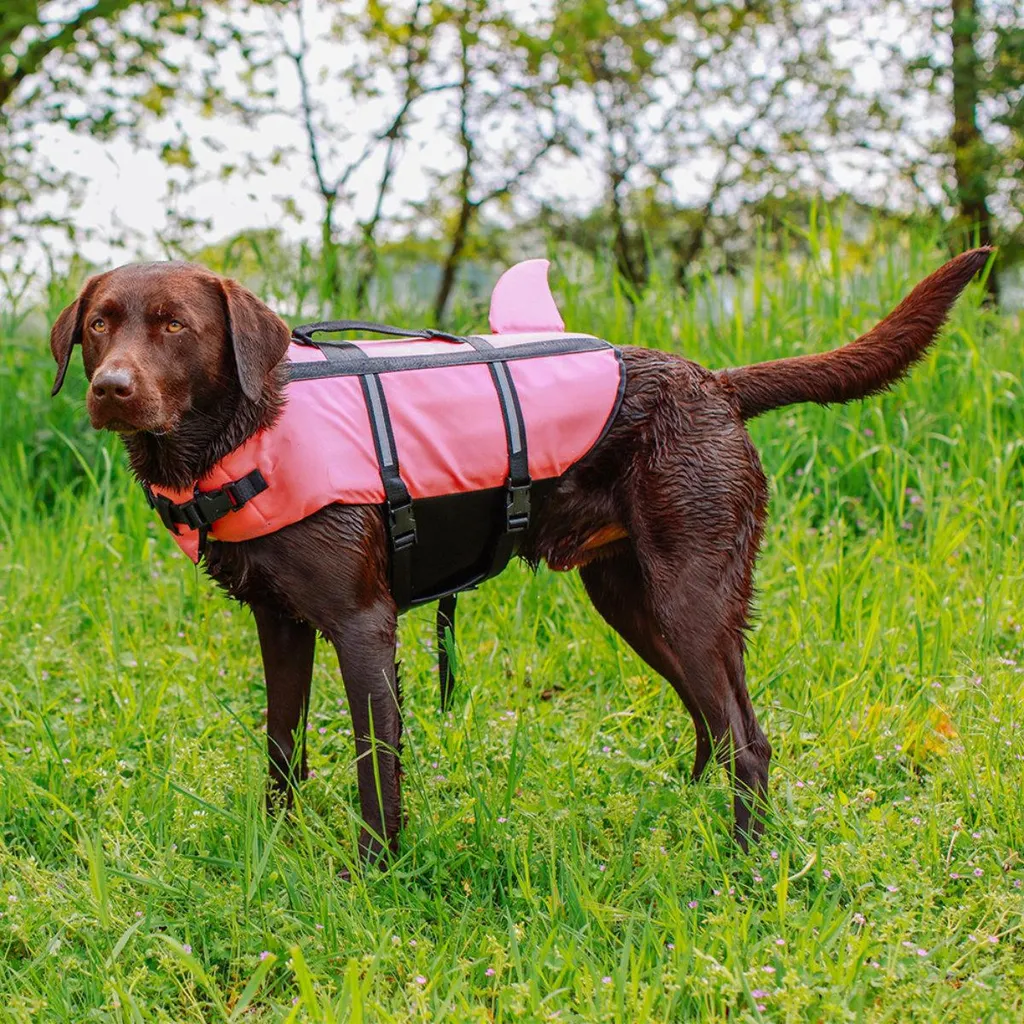 Giubbotto Galleggiante Cane Nobby Sharki Rosa S - Supporto Nuoto 30cm - 3