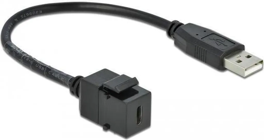 Module Keystone Delock USB 2.0 Type-C vers Type-A mâle avec câble 25cm