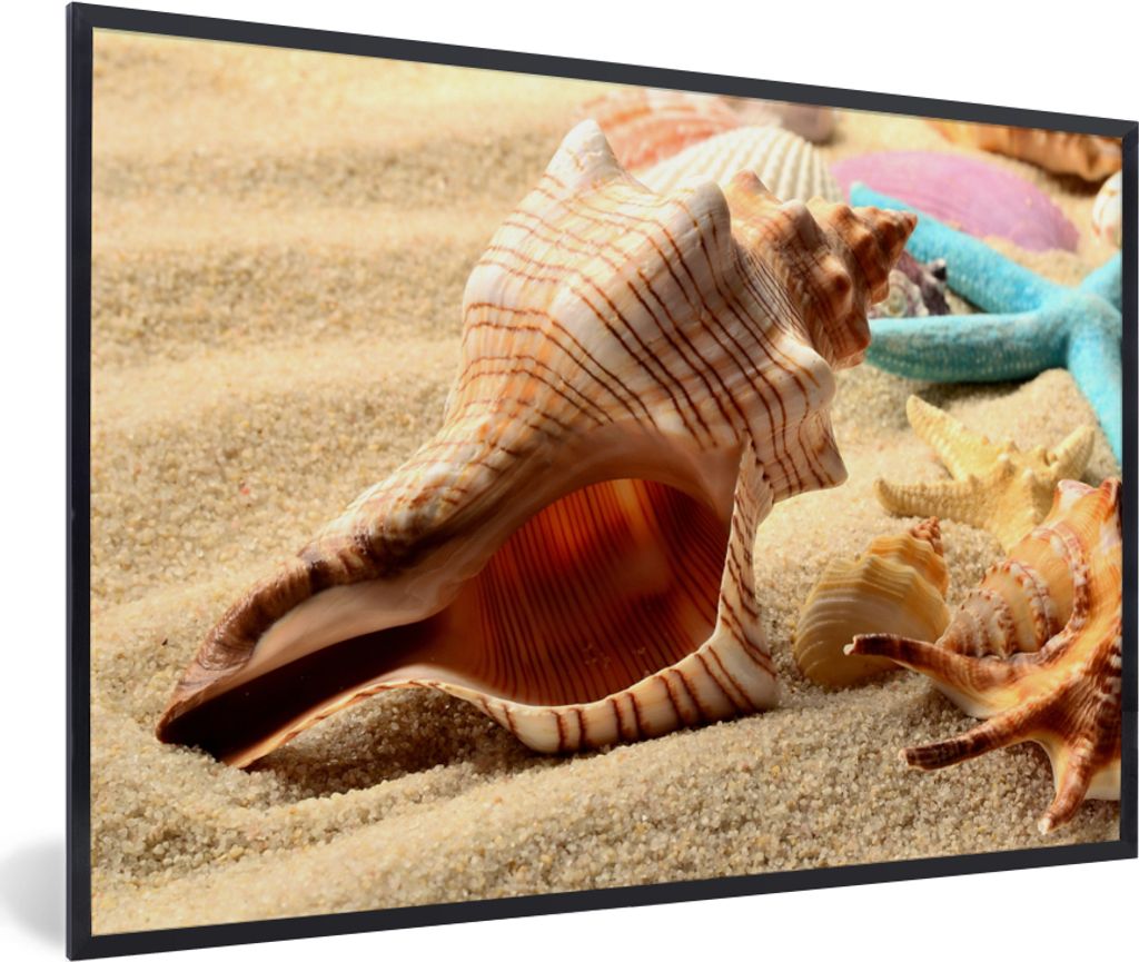 MuchoWow Gerahmtes Poster Seesterne - Muscheln - Sand - Strand 60x40 cm - Poster mit Schwarzem Bilderrahmen Wandposter Rahmen Foto Bilder - Print...