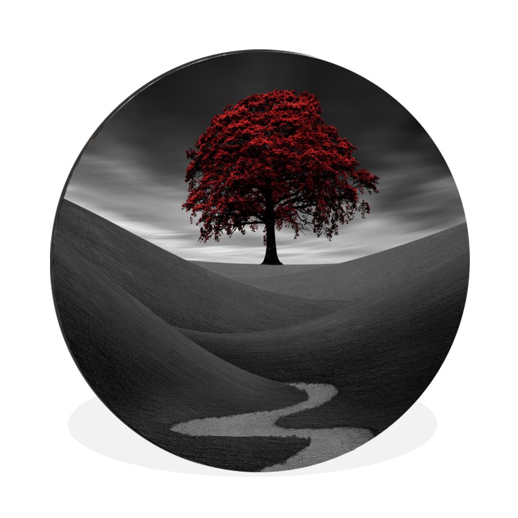 MuchoWow Aluminium Wandkreis Schwarz-Weiß-Foto mit einem roten Baum Ø 90 cm Wanddeko Modern Wohnzimmer - Mauerkreis - Wandbilder - Runde Bild -...