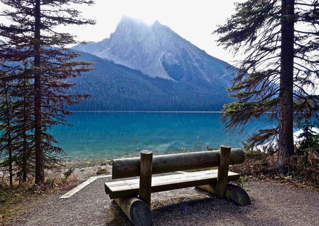 hansepuzzle 27696 - Bank Puzzle, 260 Teile, Natur, 41,0 x 28,0cm mit hochwertiger Aufbewahrung, Kartonbox und wiederverschließbarem Beutel