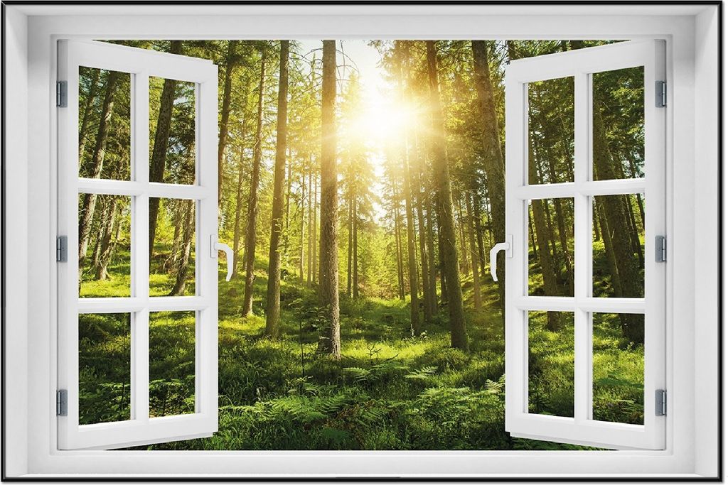 Wallario Wandbild mit Fenster-Illusion: Sonnenstrahlen im Nadelwald mit Moos und Farn, Größe: 61 x 91,5 cm, Poster mit schwarzem Aluminiumrahmen