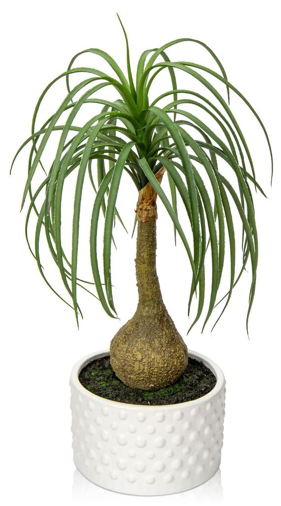 Künstliche Topfpflanze (41 cm), künstliche Elefantenfußpalme im Keramiktopf, künstliche Pflanzen, Dekoration aus Kunststoff für Zuhause, Wohnz...