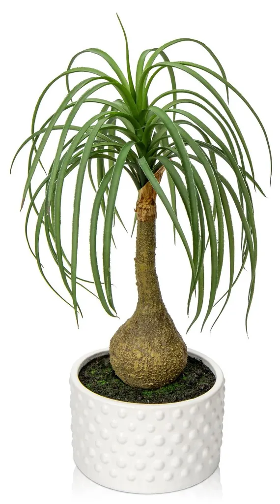 Palmier éléphant artificiel 41 cm en pot céramique - Décoration maison