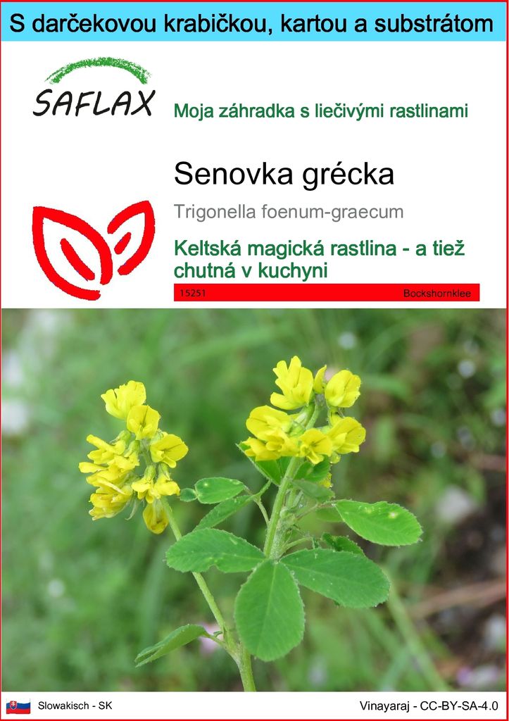 SAFLAX Darčeková sada - senovka grécka - Trigonella Obrázok produktu 