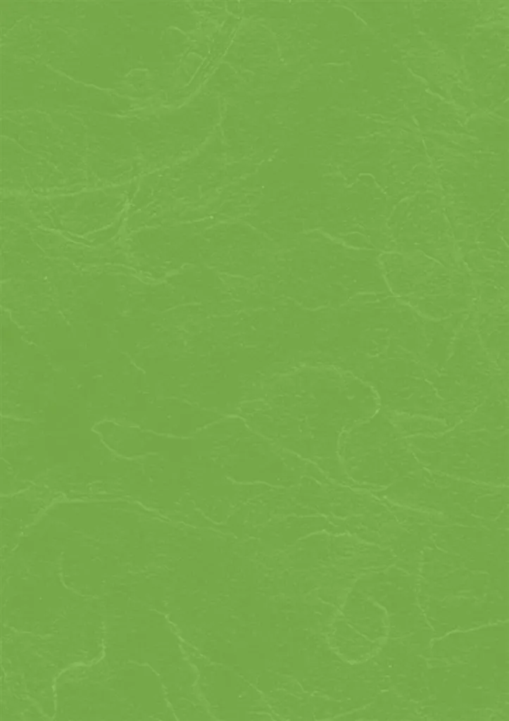 Papier paille vert Heyda texture fibreuse 50x70 cm pack de 25 feuilles