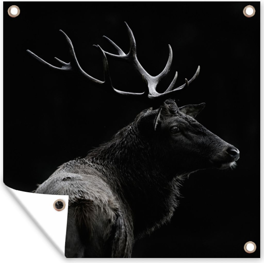 MuchoWow 50x50 cm Outdoor-Poster Gartendeko Sichtschutz Garten Poster für den Garten Hirsch - Schwarz - Porträt - Geweih - Tiere