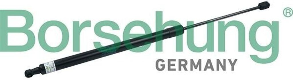 Borsehung B18458 Gasfeder Heckklappendämpfer für VW Touareg (7P5, 7P6) 594mm