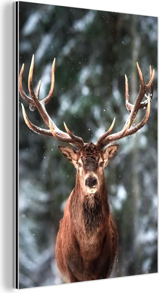 MuchoWow Wanddekoration Metall Metallbild Wandkunst 60x90 cm Rotwild - Winter - Schnee - Wald - Natur - Tier MuchoWow Aluminium Gemälde - Wandbild...