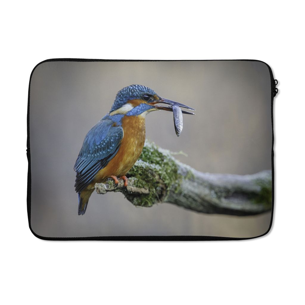 MuchoWow Laptop Hülle 14 ZollEisvogel - Fisch - Tier Laptoptasche - Laptoptasche - Stoßsicher - Schutzhaube