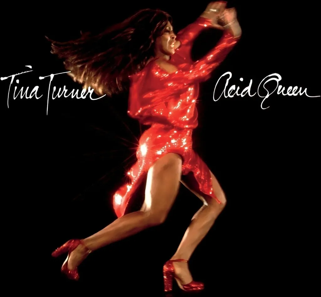 Vinyle Tina Turner Acid Queen LP 180g pour Collectionneur et Platine HiFi
