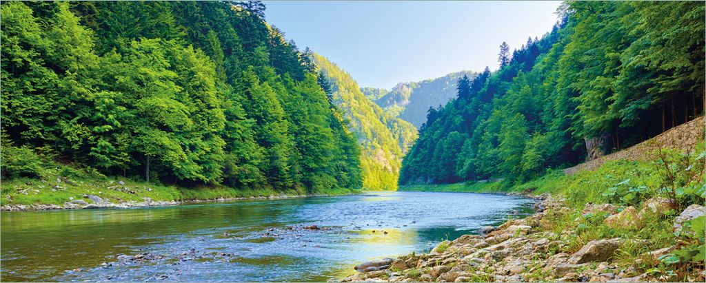 Wallario selbstklebendes Poster - Fluss in den Bergen an steinigem Ufer, Größe: 80 x 200 cm