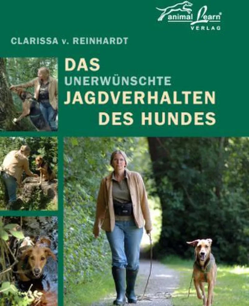 Livre éducation canine sur le comportement de chasse et rappel en forêt