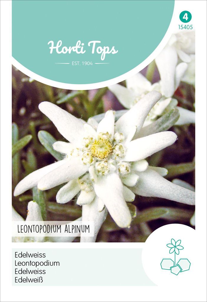 Edelweiss | Bloemzaden van Hortitops Productafbeelding 