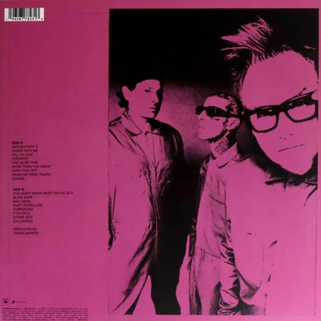 Vinyle Blink-182 One More Time LP pour Collectionneur de Rock Américain - 2