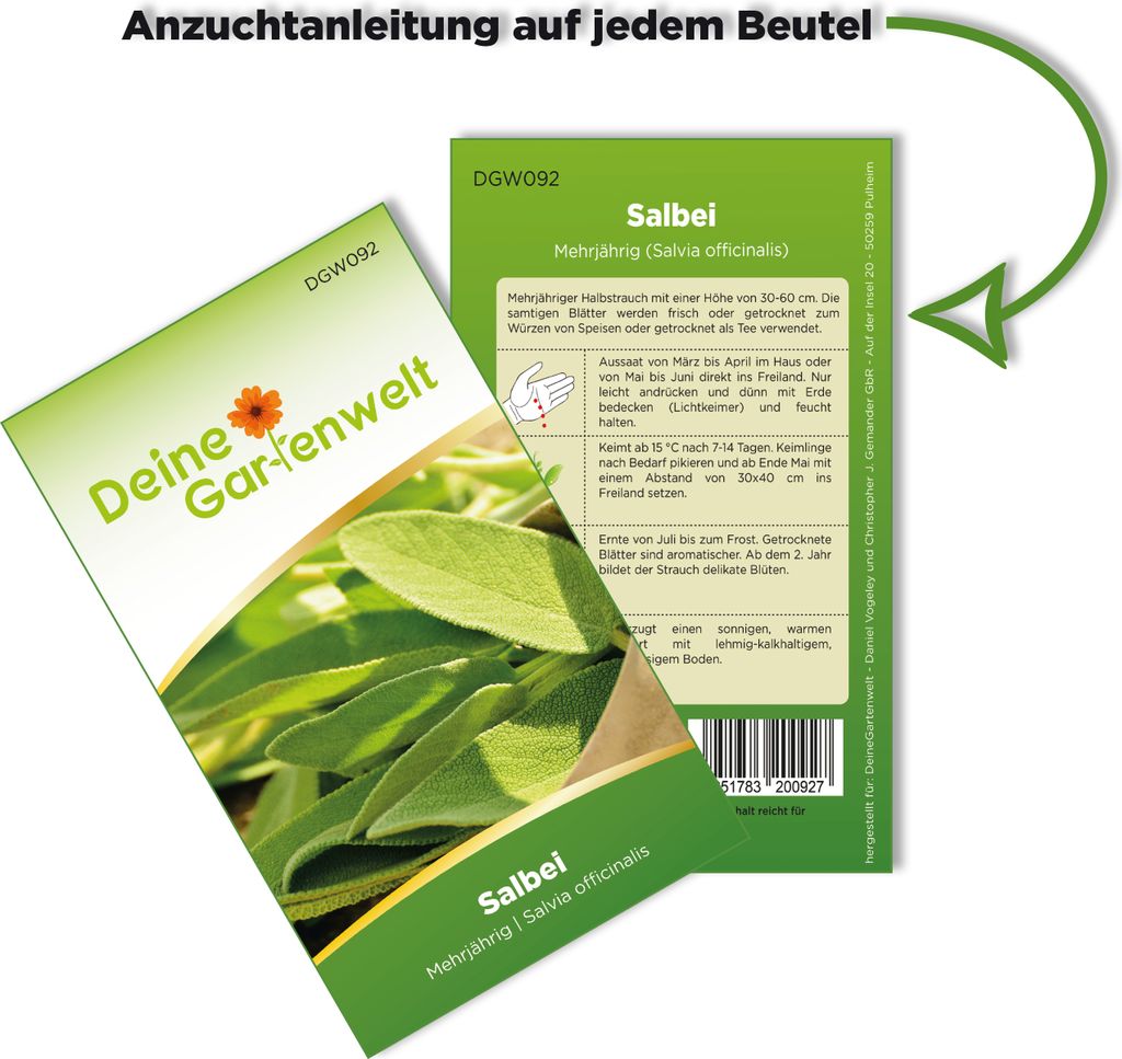 Salbei Samen - Salvia officinalis - Salbeisamen - Produktbild 3