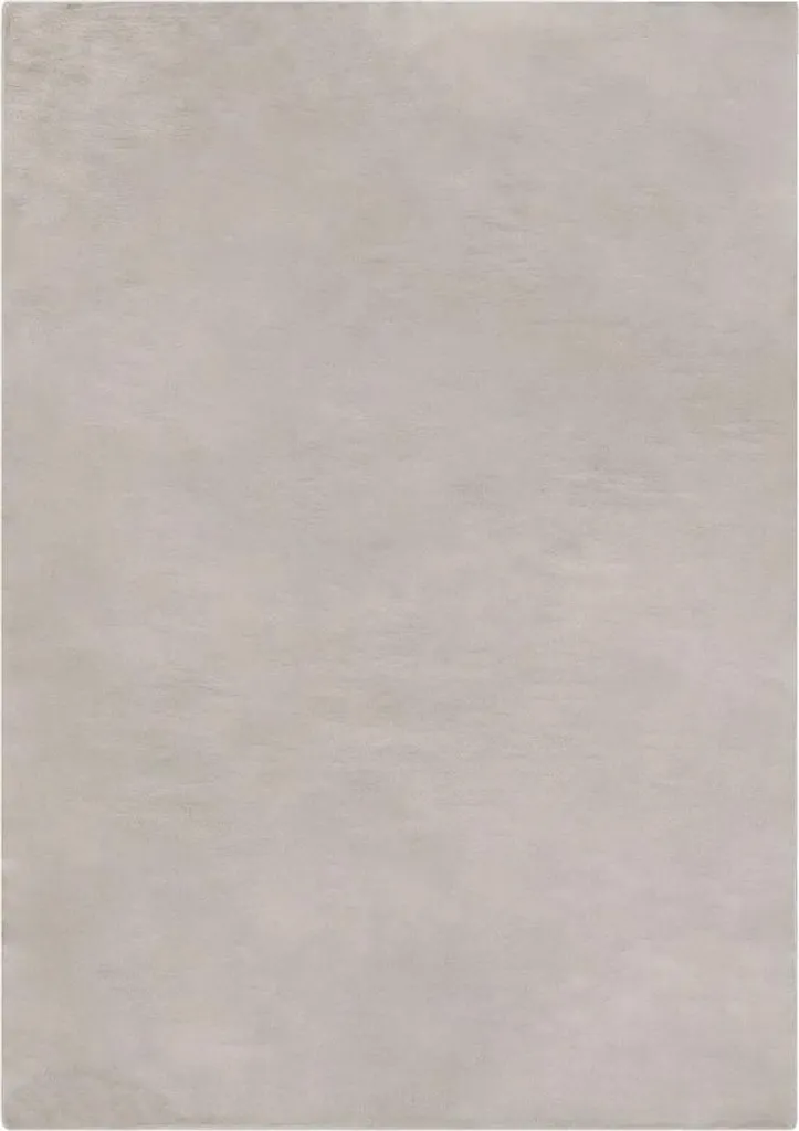 Tapis 120x170 cm Taupe pour Chambre et Salon - Ambiance Cosy Chic