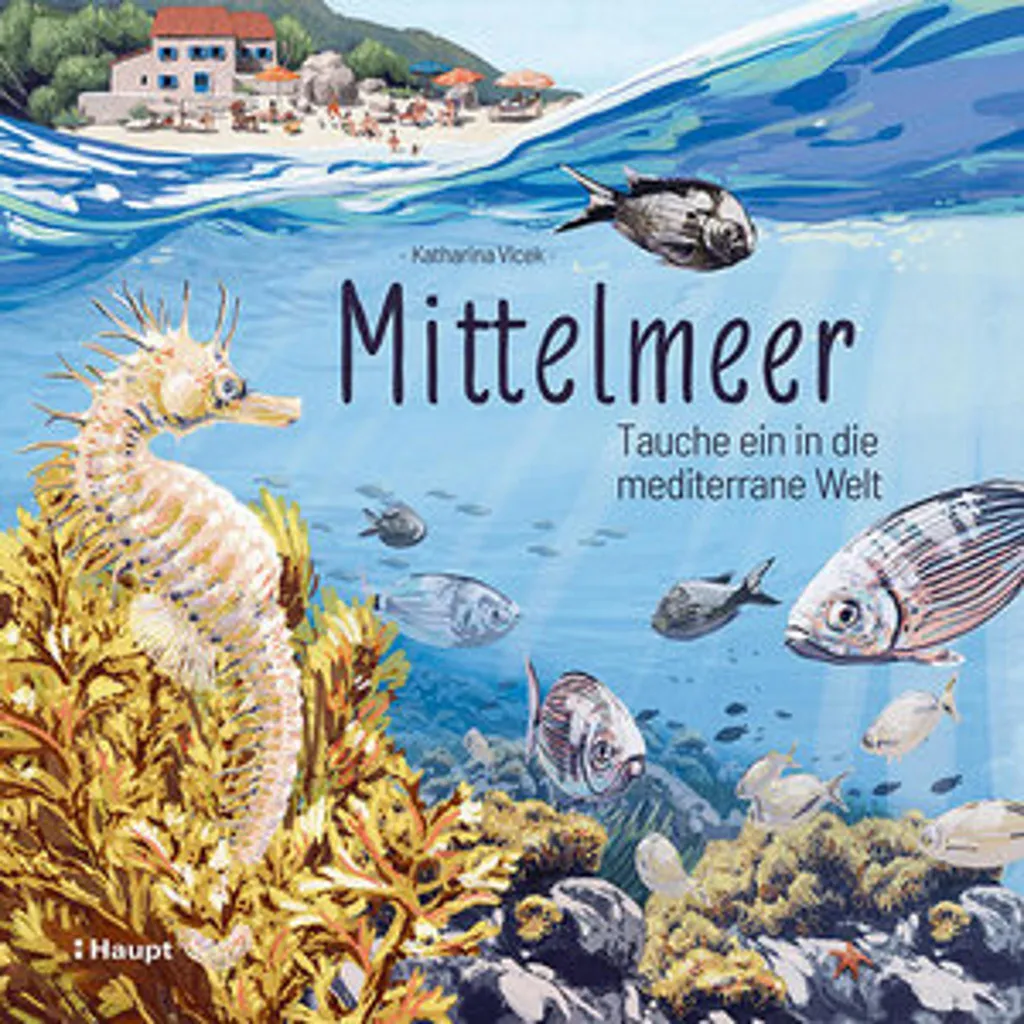 Parfum d'ambiance Mittelmeer spray naturel aux notes de pin et d'iode