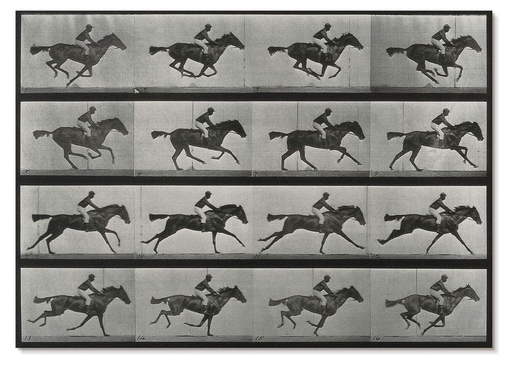 POSTER - 84x59 cm (A1) - Eadweard Muybridge - Produktbild 