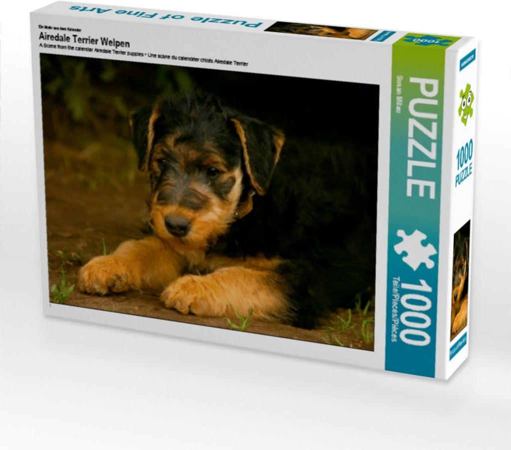 Calvendo Ein Motiv aus dem Kalender Airedale Terrier Welpen Produktbild 