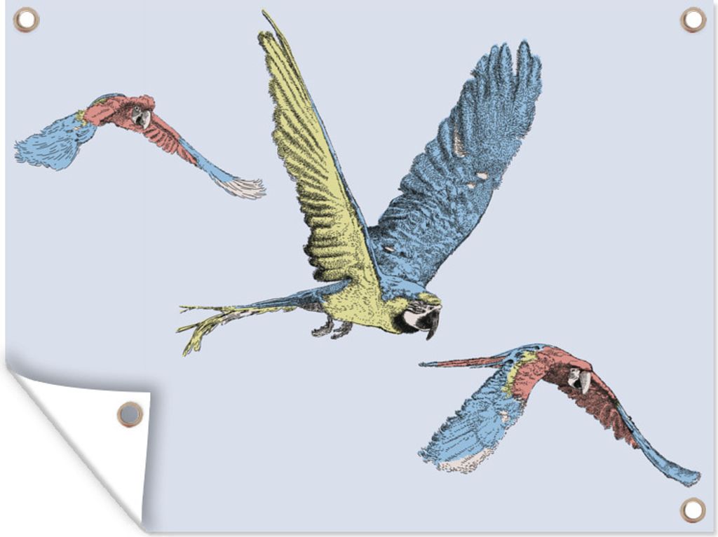 MuchoWow 80x60 cm Outdoor-Poster Gartendeko Sichtschutz Garten Poster für den Garten Eine Illustration von drei fliegenden Papageien