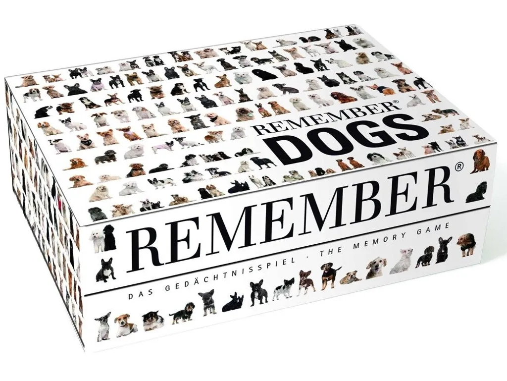 Stimuler la mémoire des enfants avec le jeu Remember DG44